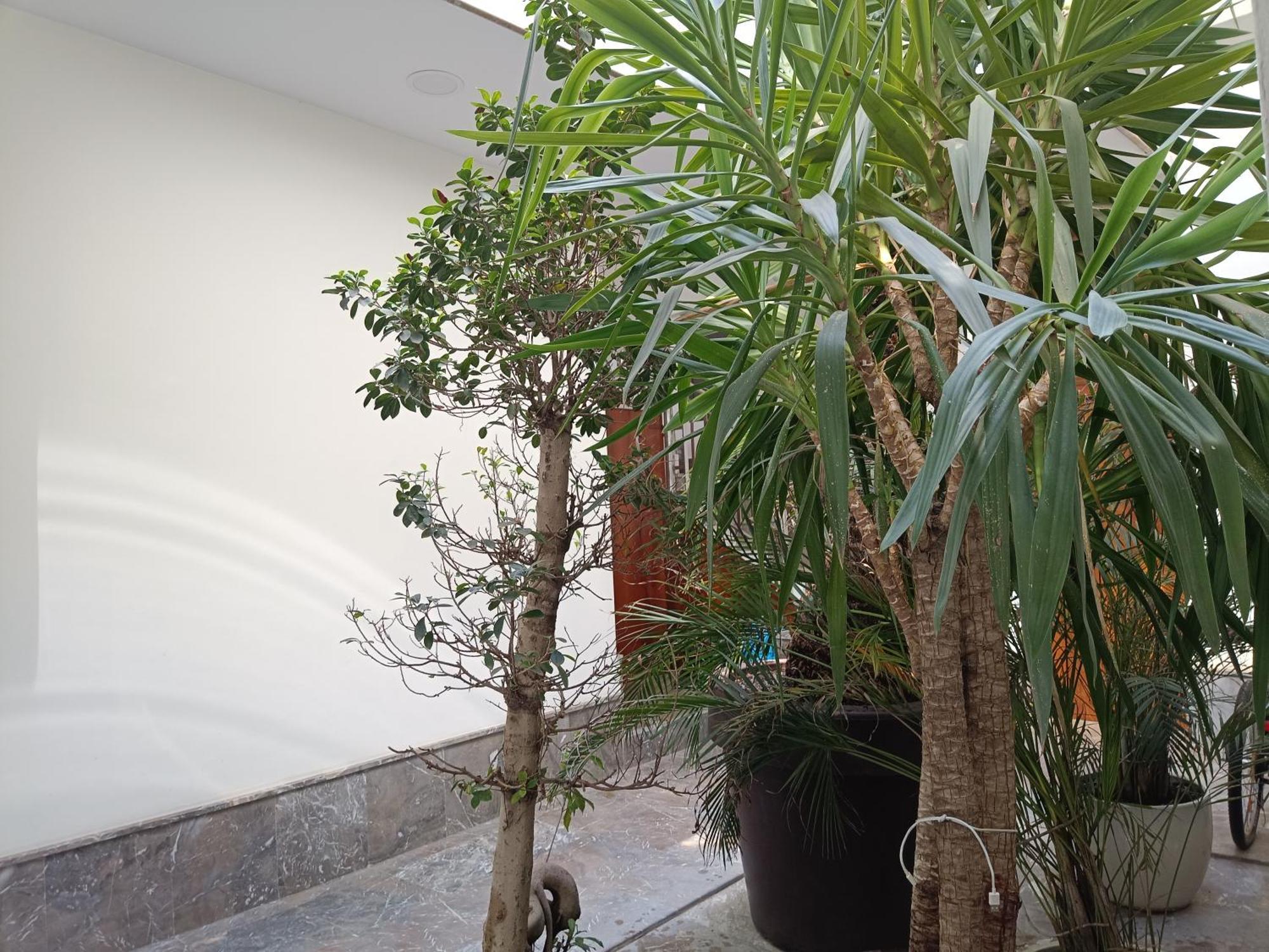 Apartamentos Luxury Puente De Triana Севилья Экстерьер фото